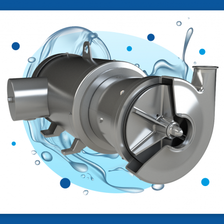 La bomba sanitaria QWP: solución eficiente para bombear vino 