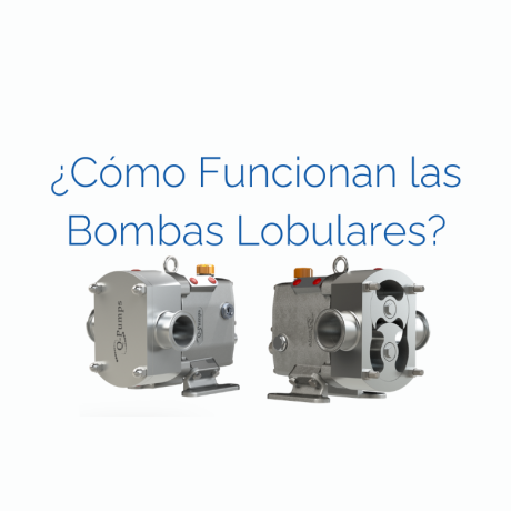 Qué es una bomba lobular | Funcionamiento y ventajas Q-Pumps